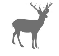 Hirsch mit Schneeflocken und Name