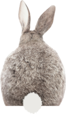 Ostern Hase I Hasen Oster Hasenmotiv I Osterhase