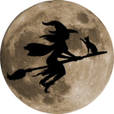 Hexe Halloween Hexen auf Besen Vollmond Katze Witch Mond