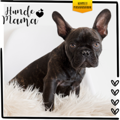 Hunde Mama Geschenk mit Foto personalisiert I Hundebesitzerin Geschenk Hundehalterin Geschenkidee Hunde Liebhaberin Geschenke für Hundefreunde