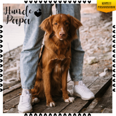 Hunde Papa Geschenk mit Foto personalisiert I Hunde Liebhaber Geschenk Hundebesitzer I Hundehalter Geschenke Hundepapa Geschenke für Hundefreunde