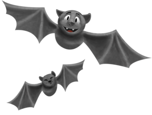 Fledermäuse I Fledermaus I Flattermaus