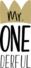 Mr One Derful