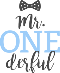 Mr. One Derful