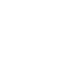 Pusteblume Löwenzahn