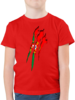 Rot